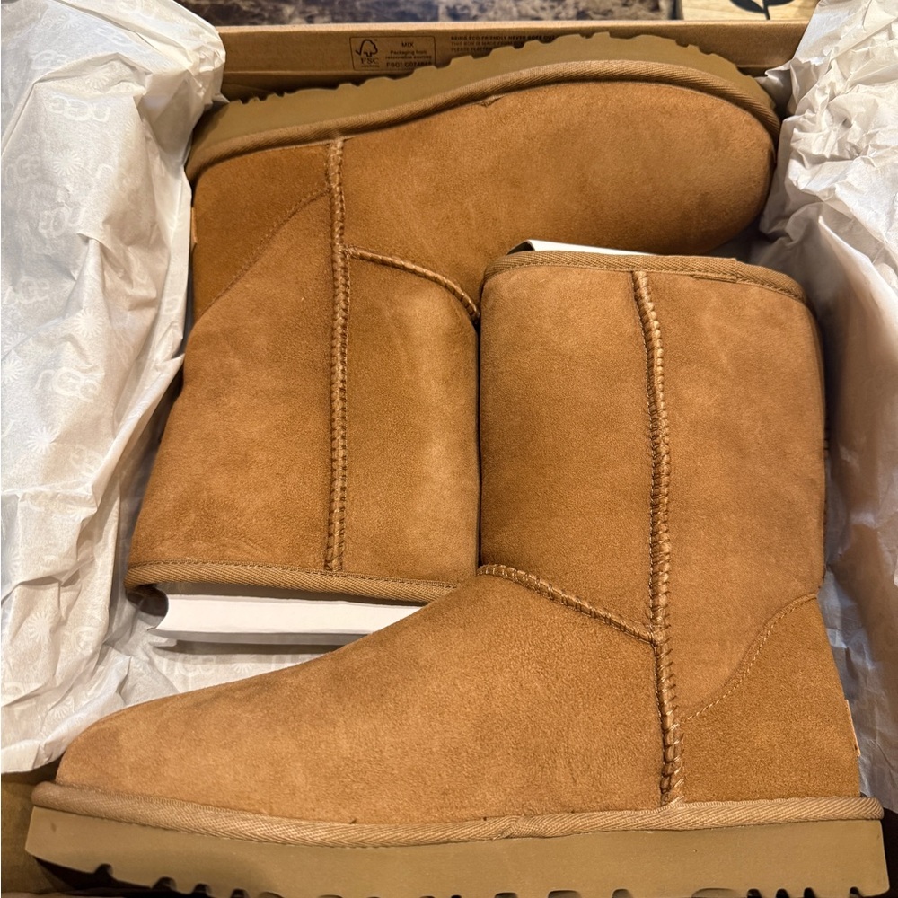 UGG Chestnut Suede Boots